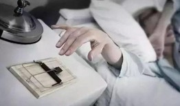 性与早餐手机在线观看,手机在线观看的激情早餐时光